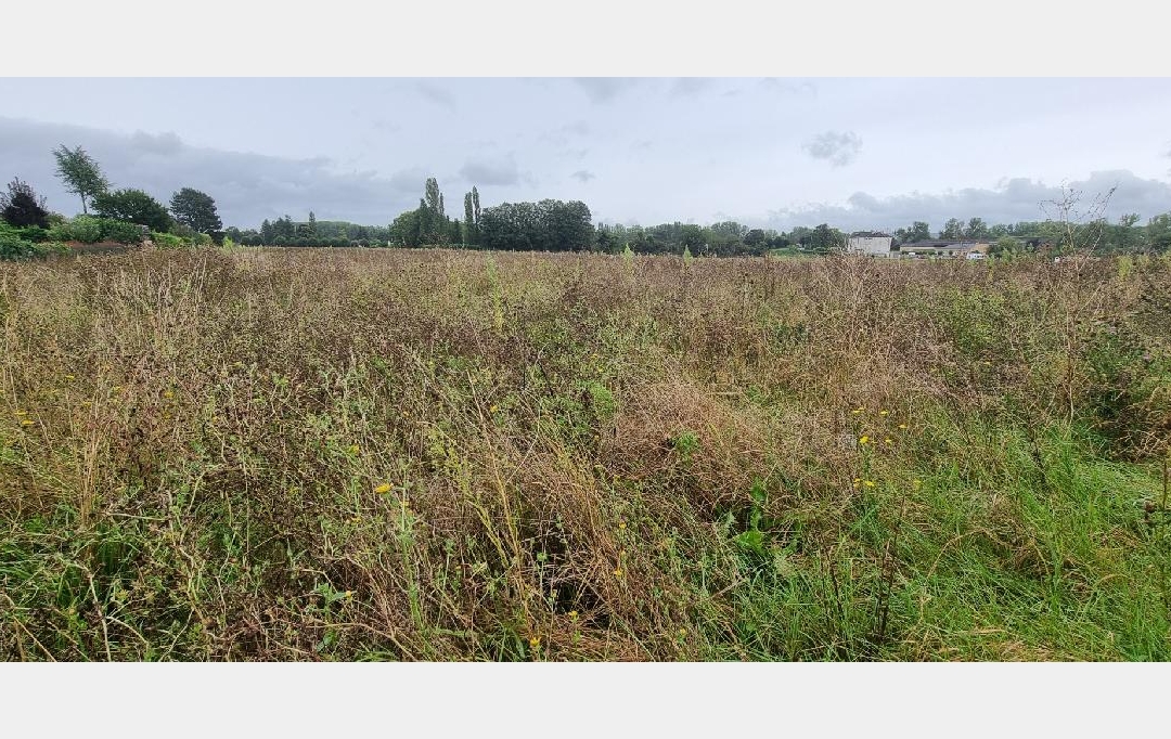 Annonces PROVINS : Terrain | COURLON-SUR-YONNE (89140) | 1 250 m2 | 37 500 € 